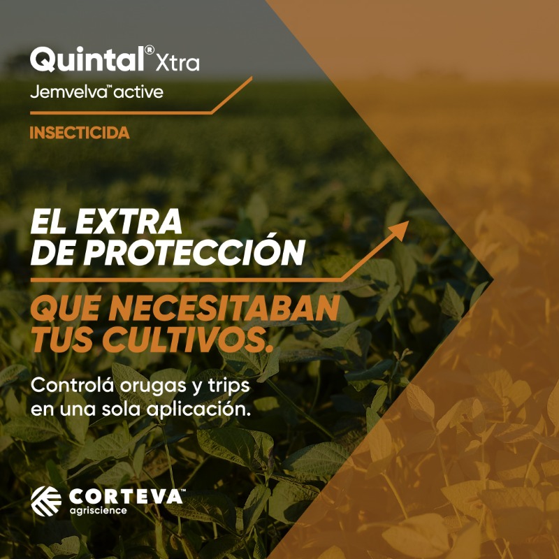 CortevaARG's tweet photo. Quintal® Xtra brinda el extra de protección que permite llevar tus cultivos al máximo nivel. Su fórmula act��a al instante de su aplicación, para un control total de plagas. #QuintalXtra https://t.co/ACbjnlpKLA