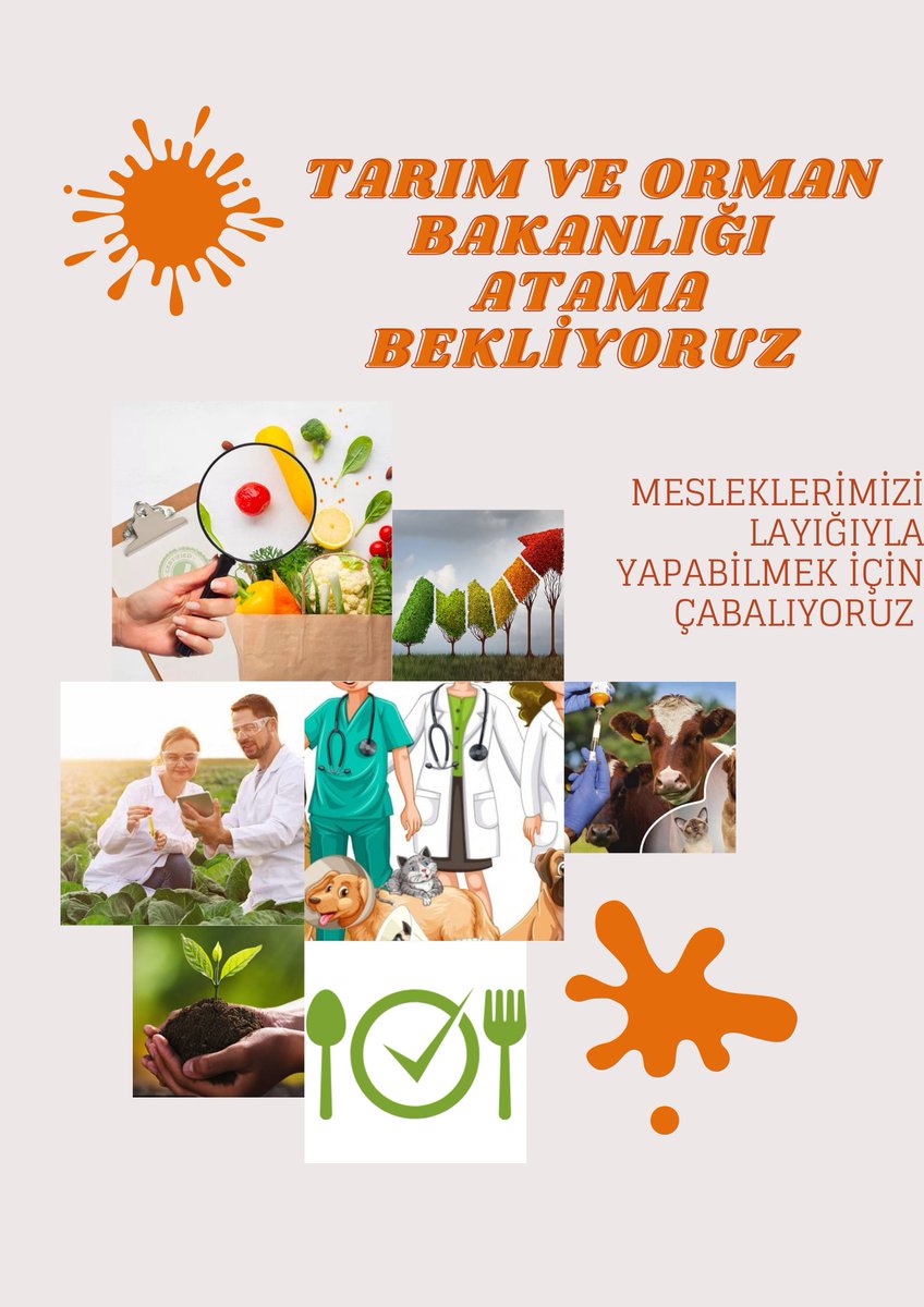 Tarım ve Orman Bakanlığı branşları olarak belirsiz durum içinde kaybolup gidiyoruz. Hayatımızı askıya aldık. Sn <a href="/ibrahimyumakli/">İbrahim Yumaklı</a> gençler olarak sizden müjde bekliyoruz. Daha fazla sessiz kalmayın lütfen
<a href="/RTErdogan/">Recep Tayyip Erdoğan</a> <a href="/ahmtbgc/">Ahmet Bağcı</a> <a href="/DrVeyselTiryaki/">Dr. Veysel Tiryaki</a> <a href="/bekirgizligider/">Ebubekir GİZLİGİDER</a>
#ButcedenTarimaAtama