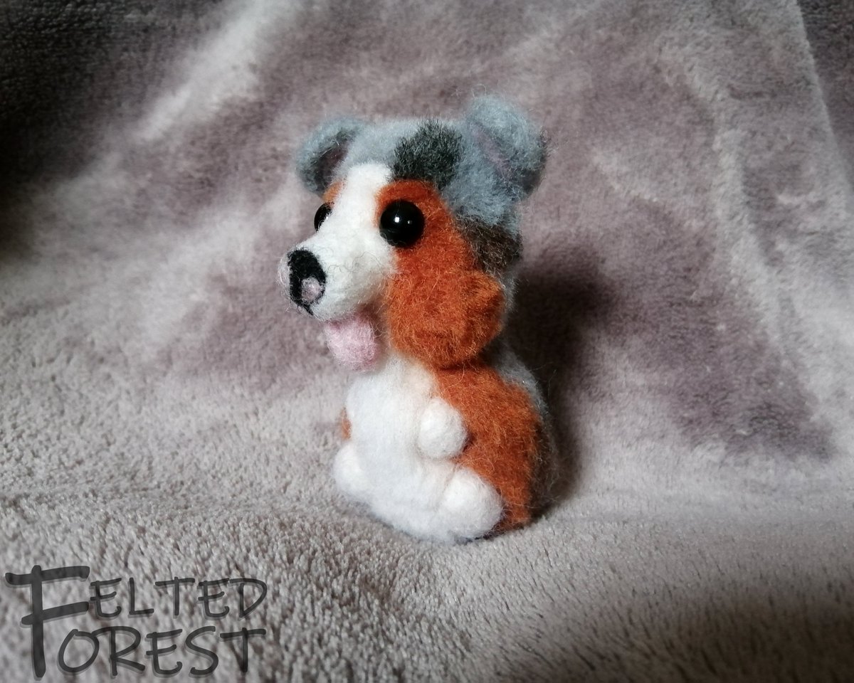 Felted_Forest's tweet image. Miniature American Shepherd in potato form🥔🐶🥔

#feltedforest #felting #feltingwool #feltingwoolcrafts #needlefelting #needlefeltinglover #felted #wool #handmade #handmadecraft #dog #potatodog #potatoform #mas #miniatureamericanshepherd #miniaussie #australianshepherd #aussie