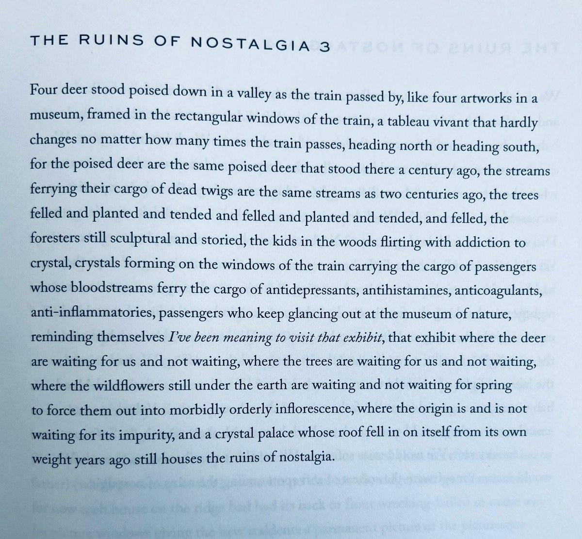 Donna Stonecipher from The Ruins of Nostalgia, published by Wesleyan University Press.