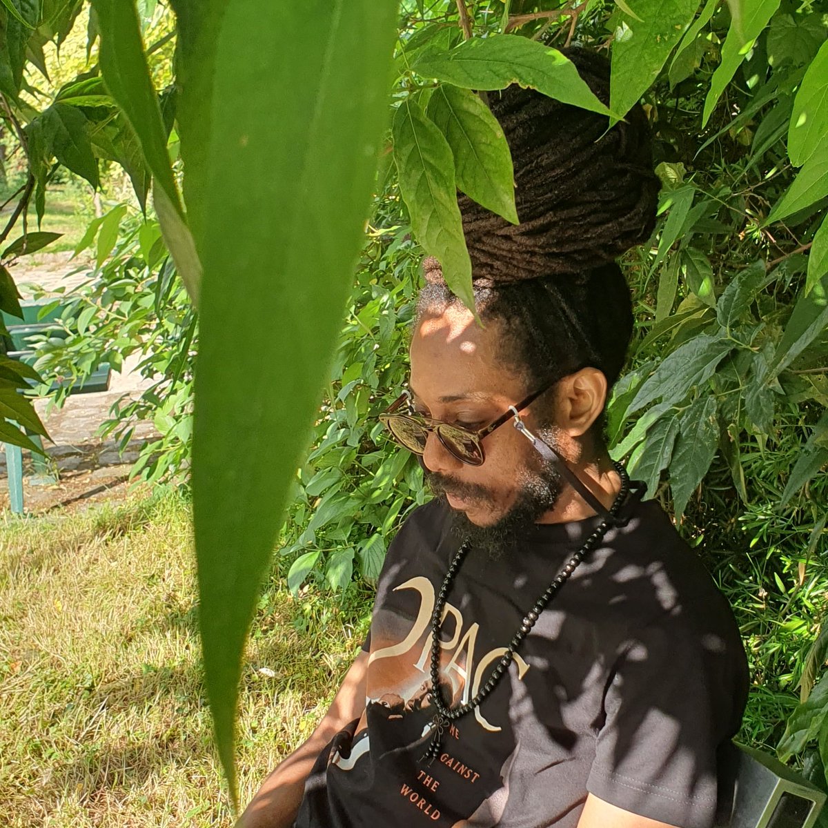 TcheleMicke's tweet photo. #green #grass https://t.co/FyzFhOn8iv