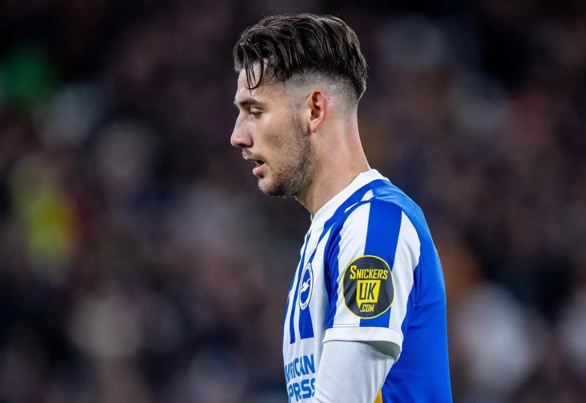 Brighton Bubble tweet media