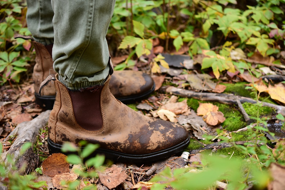 On wet fall days, it’s hard to keep your feet dry. 🥾

Make sure you have waterproof (but breathable) footwear, and wear wicking socks.

#FallHiking