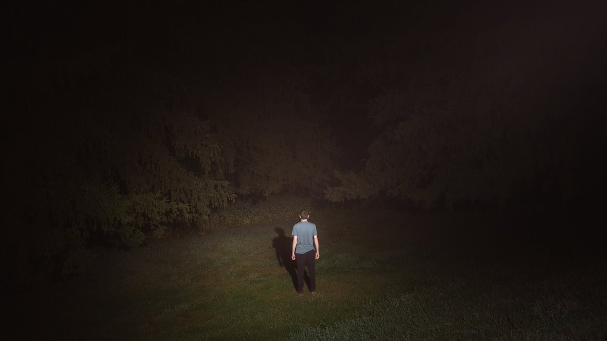 jayanthonyolson's tweet photo. There's something in the woods. https://t.co/XiNMwQCKHx