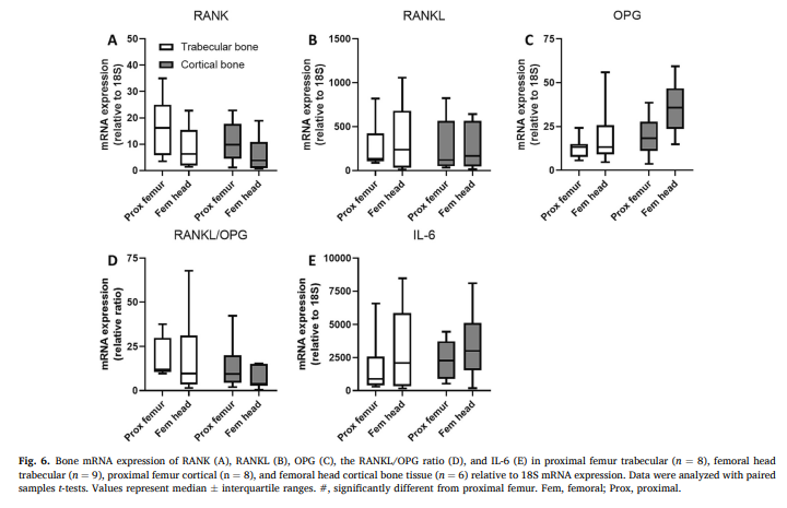 Dr. Myohead (@drmyohead) on Twitter photo Trabecular, but not cortical, bone tissue protein synthesis rates are lower in the femoral head when compared to the proximal femur following an intracapsular hip fracture
From <a href="/Hendriks_FK/">Floris Hendriks</a> <a href="/michelleweijzen/">Michelle Weijzen</a> et al (I'm sure I missed tags)
doi.org/10.1016/j.bone… Trabecular, but not cortical, bone tissue protein synthesis rates are lower in the femoral head when compared to the proximal femur following an intracapsular hip fracture
From <a href="/Hendriks_FK/">Floris Hendriks</a> <a href="/michelleweijzen/">Michelle Weijzen</a> et al (I'm sure I missed tags)
doi.org/10.1016/j.bone…