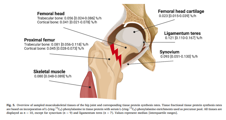 Dr. Myohead tweet media