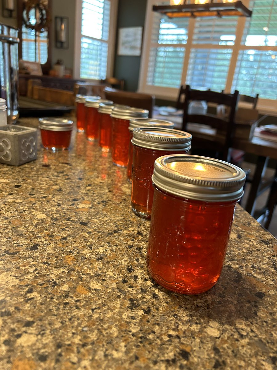 sbrucecanada's tweet photo. #CrisisCommsTip

I applied this #crisis comms approach when making Crabapple Jelly this morning:

Plan - I had the recipe and reviewed it.

Prepare - I got the crabapples  juiced, ingredients, and all the pots and jars together.

Practice - I tried a few different methods for skimming the top and pouring.

Perform - Did two batches without a major incident. Hearing them “pop” now (IYKYK).

Perfect - Wondering how to improve the process for next time so I can avoid getting sticky jelly on EVERYTHING - including this phone. 🙄