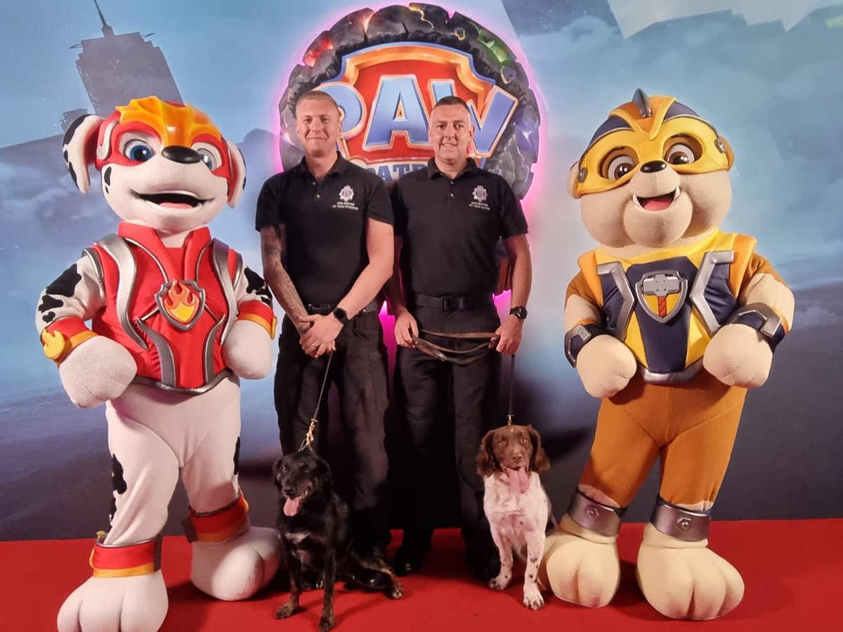 PD Milo, PD Chip and their handlers were invited (out of work hours) to attend a special screening of the latest #PawPatrol film! Milo & Chip were invited by @DogsTrust as both dogs were rescued from them and have gone on to have successful careers as real life super pups! 🐾