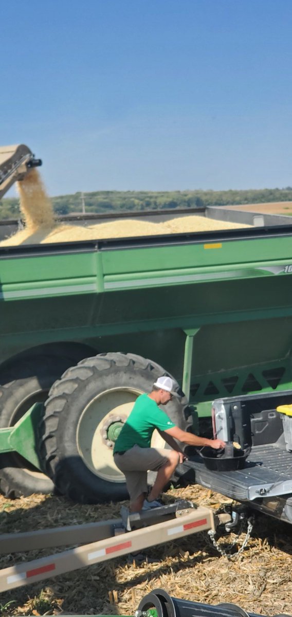 Greg Carpenter (@cowboycubby) on Twitter photo Elk Creek NE. P1790WQ Ringing the Bell. 261 bushel white corn making the weigh wagon groan!
See The Leaders! <a href="/crank1n3/">Casey Rankin</a> @MLollmann <a href="/NemahaValley/">Nemaha Valley Seed and Services Inc.</a> <a href="/PioneerSeeds/">Pioneer Seeds U.S.</a> <a href="/corteva/">Corteva Agriscience</a> Elk Creek NE. P1790WQ Ringing the Bell. 261 bushel white corn making the weigh wagon groan!
See The Leaders! <a href="/crank1n3/">Casey Rankin</a> @MLollmann <a href="/NemahaValley/">Nemaha Valley Seed and Services Inc.</a> <a href="/PioneerSeeds/">Pioneer Seeds U.S.</a> <a href="/corteva/">Corteva Agriscience</a>