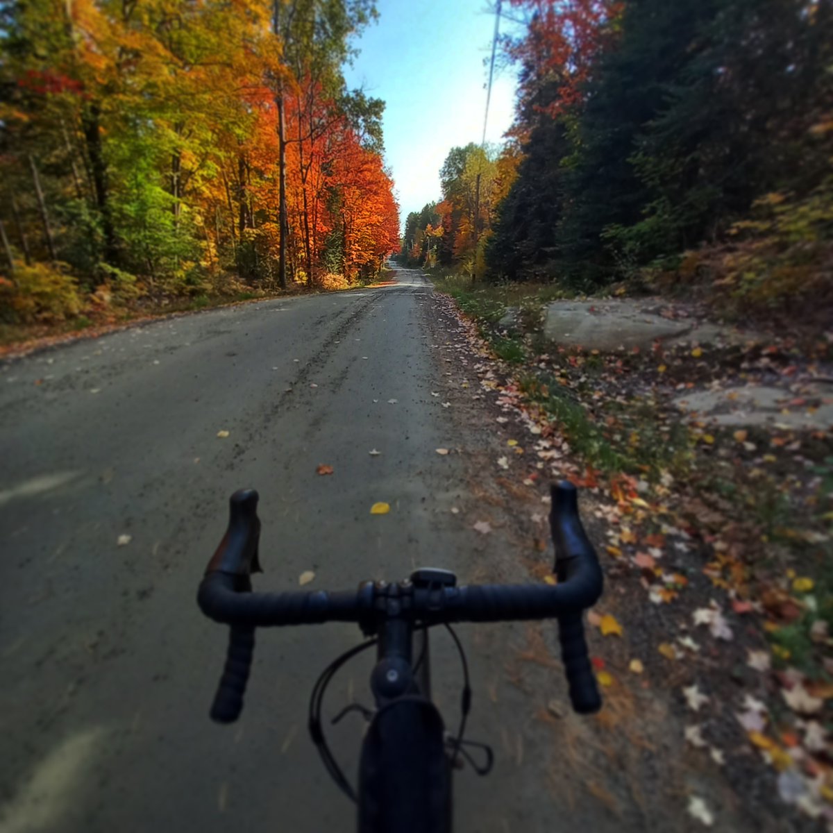MLATours's tweet photo. Meanwhile, in the Almaguin Highlands.
#fallriding #fallcolours just west of #algonquin
#gravelbike https://t.co/nNZ8gUghX4