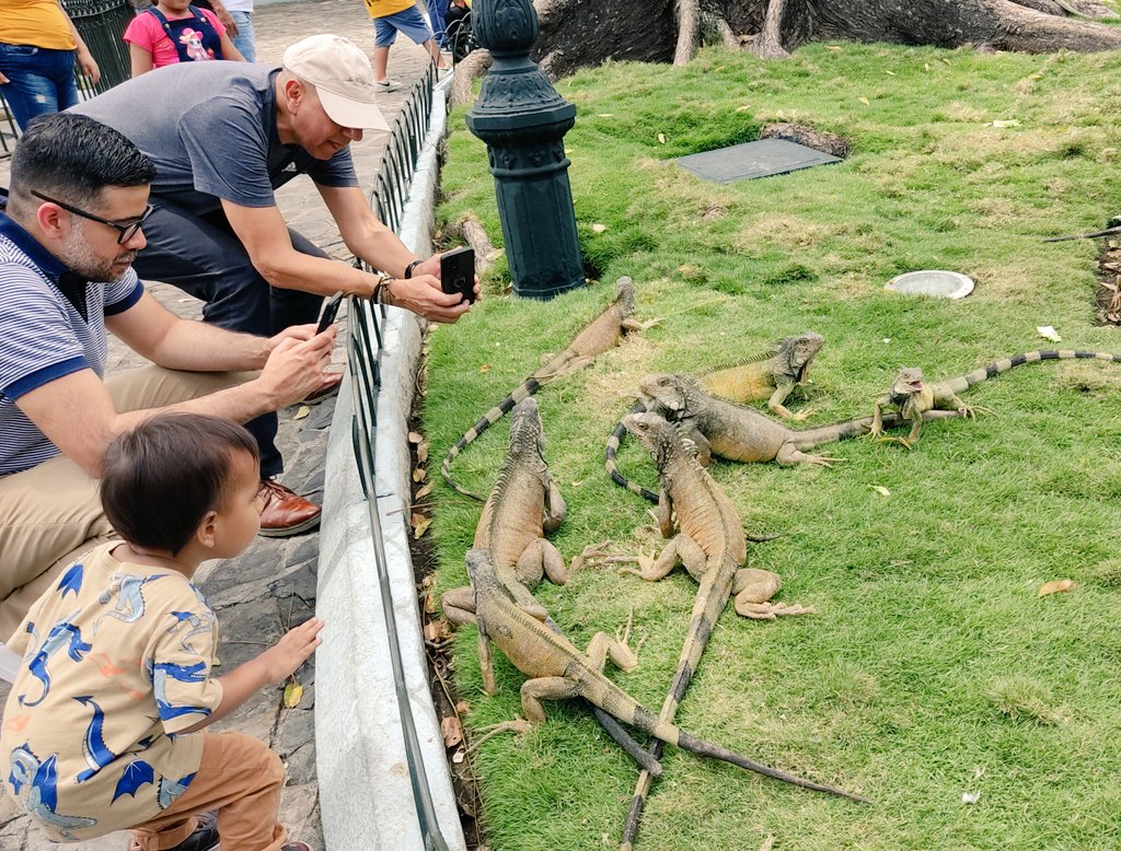 Charls M tweet media