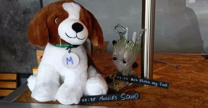 Mayo Macra (@mayo_macra) on Twitter photo A few pics of ours (and our mascot's 😋 🐶) day out at @insideescapegames in Castlebar yesterday, thanks to all who took part and we'd hugely recommend it for any group! #macra A few pics of ours (and our mascot's 😋 🐶) day out at @insideescapegames in Castlebar yesterday, thanks to all who took part and we'd hugely recommend it for any group! #macra