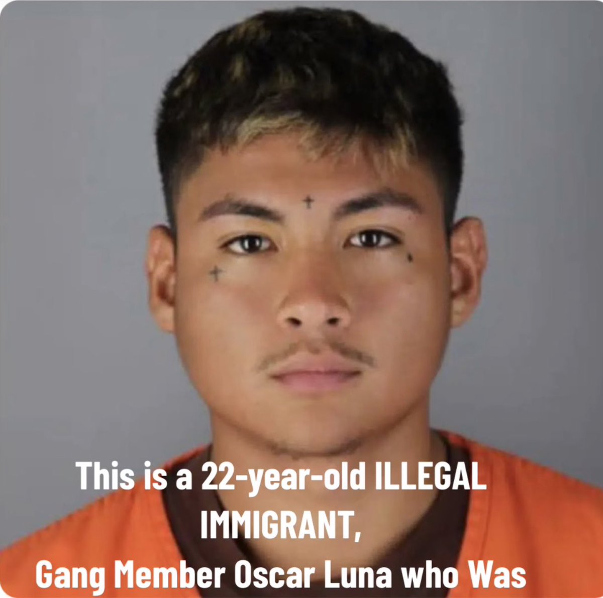 TheThe1776's tweet photo. Illegal Immigrant gang arrested for Kidnapping three girls, include 11-Year-Old, in Northern Minnesota and Rapes and Tortures them. 

#DeportThemAll
#CloseTheBorderNOW https://t.co/W0yXwS2E5p