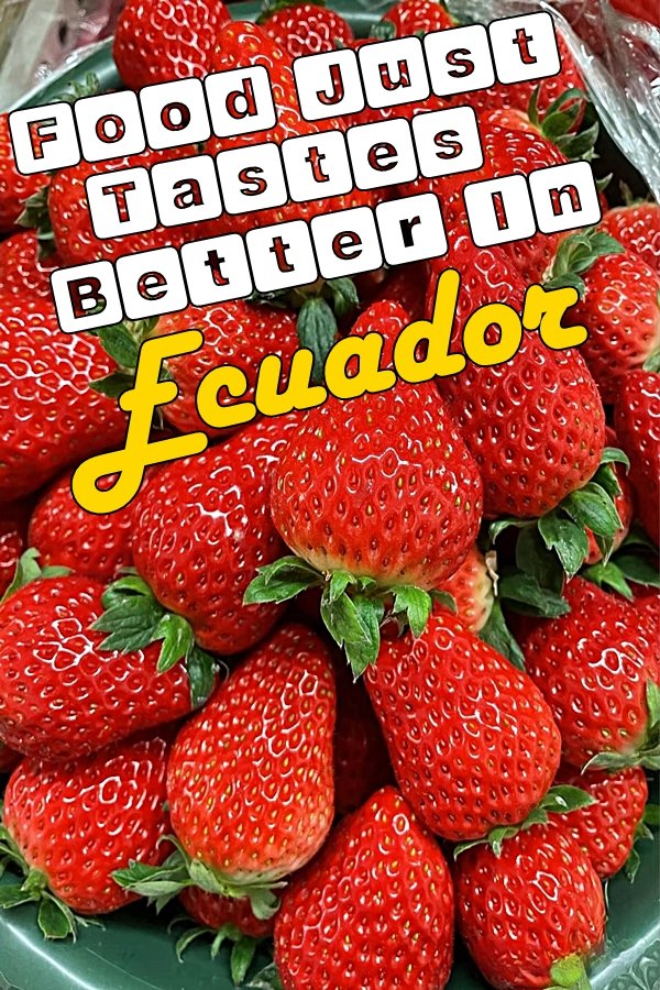 everythingecua's tweet photo. Food Just Tastes Better In Ecuador.
https://t.co/NgmfHT3NTs
Genuine flavor shines through in food that isn't mass-produced. Coming from major US cities, you can distinctly discern the difference in taste. #food #ecuador #ecuadorfood #quito #livingabroad #Internationalliving https://t.co/SDUEi66ZFa