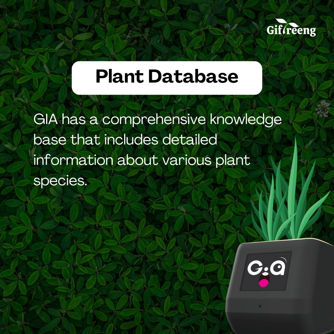 giftreeng's tweet photo. 🌱
. 
. 
. 
#GIAPlantCare #Giftreeng #PlantCare#plantreels #plantparent #plant #plantsofinstagram #plantas #plantbaseddiet #houseplants #plantpower #plantsmakepeoplehappy #plantlife #indoorplants #plantpowered #plantstrong #plantpowered https://t.co/AxZG4HzpkP