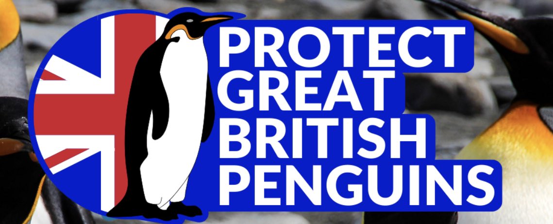 Today @CFOTOCEAN are partnering with @CEN_HQ to call for the strengthening of the Blue Belt in South Georgia and the South Sandwich Islands

A place more biodiverse than the Galapagos Islands with

- 100 million seabirds 🪶
- 5 species of penguins 🐧
- 270,000 humpback whales! 🐋