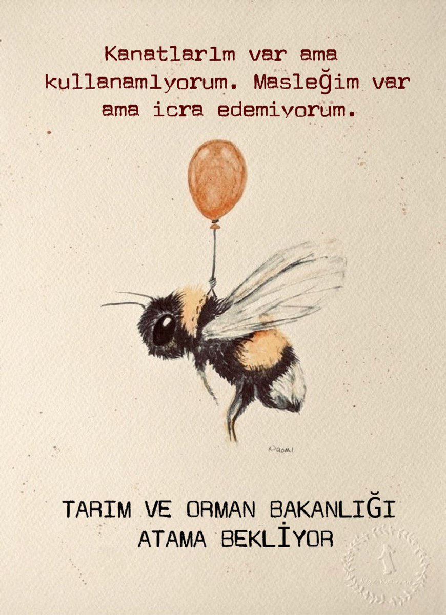 35atiye35's tweet photo. Yıllardır 80 üstü kpss puanlarıyla açıkta kalıyoruz. Her branşın kendi ehil olduğu uzmanlığı yaptığı, yeterli sayıda adil bir atama bekliyoruz.
@RTErdogan
@_cevdetyilmaz
@osmannnurika
@tcbestepe 
@ahmtbgc 
@memetsimsek 
@ademdinc_ 
@huseyinozturk_1
 #ButcedenTarimaAtama https://t.co/8y1xy1XeVz