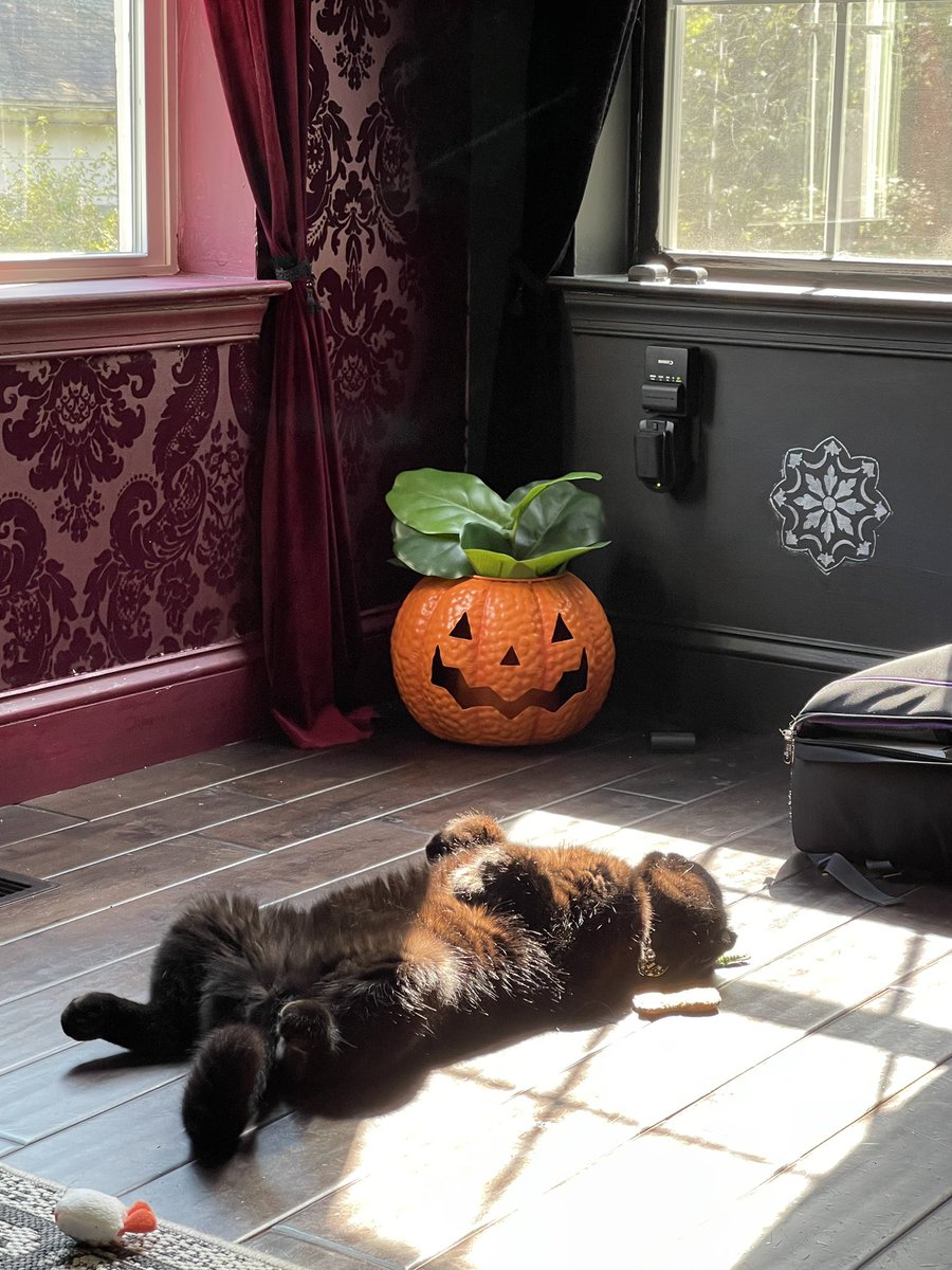 Möth, Lord of the Black Blade 🎃 (@socialrepose) on Twitter photo 