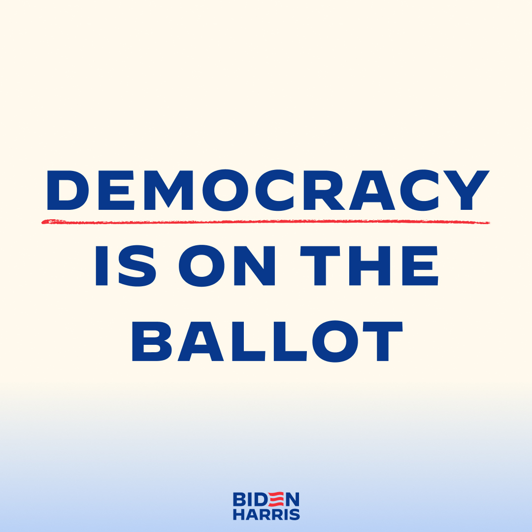 We must all defend democracy at the ballot box.