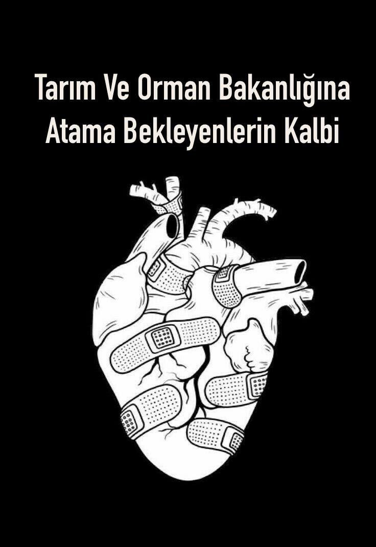 35atiye35's tweet photo. Yıllardır 80 üstü kpss puanlarıyla açıkta kalıyoruz. Her branşın kendi ehil olduğu uzmanlığı yaptığı, yeterli sayıda adil bir atama bekliyoruz.
@RTErdogan
@_cevdetyilmaz
@osmannnurika
@tcbestepe 
@ahmtbgc 
@memetsimsek 
@ademdinc_ 
@huseyinozturk_1
 #ButcedenTarimaAtama https://t.co/WYpRhFn8mP