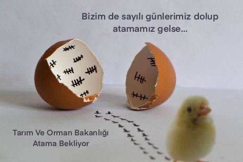 35atiye35's tweet photo. Yıllardır 80 üstü kpss puanlarıyla açıkta kalıyoruz. Her branşın kendi ehil olduğu uzmanlığı yaptığı, yeterli sayıda adil bir atama bekliyoruz.
@RTErdogan
@_cevdetyilmaz
@osmannnurika
@tcbestepe 
@ahmtbgc 
@memetsimsek 
@ademdinc_ 
@huseyinozturk_1
 #ButcedenTarimaAtama https://t.co/FBMgUH7Gvx