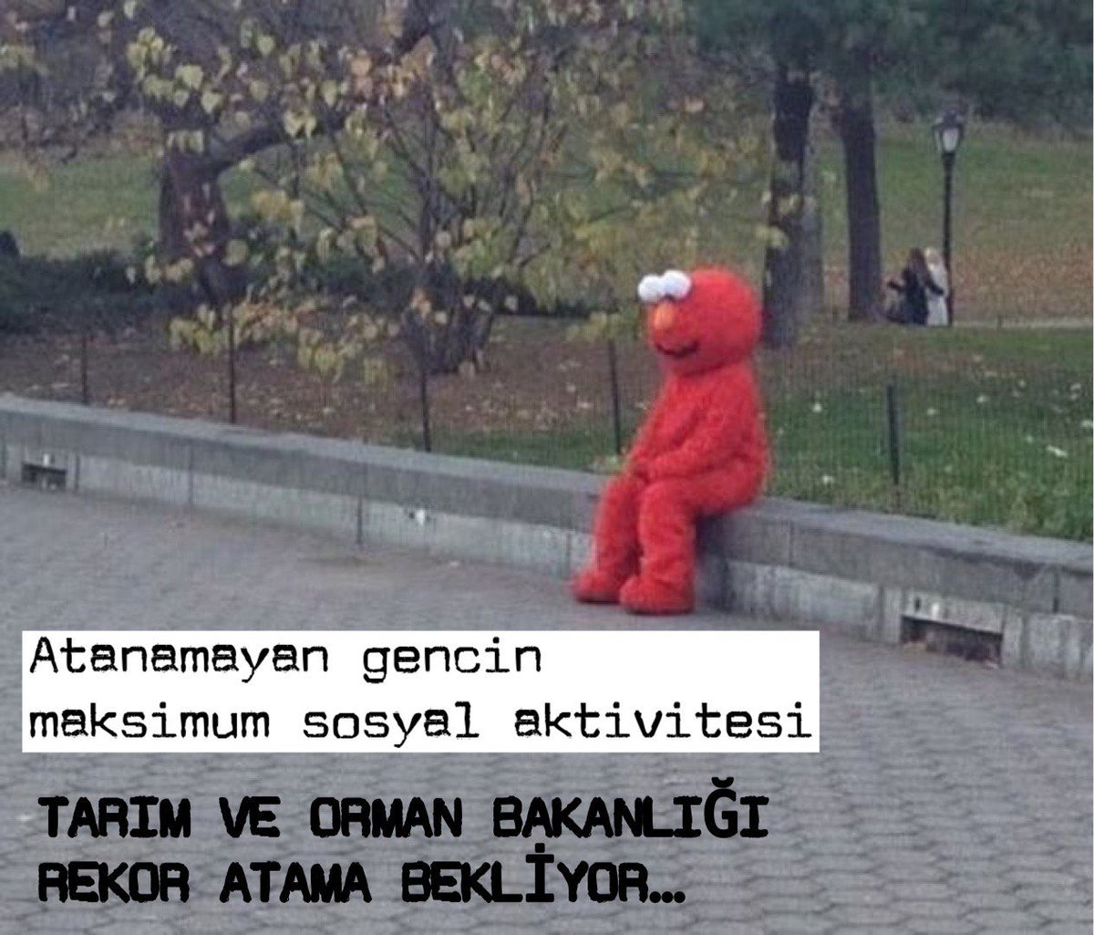 35atiye35's tweet photo. Yıllardır 80 üstü kpss puanlarıyla açıkta kalıyoruz. Her branşın kendi ehil olduğu uzmanlığı yaptığı, yeterli sayıda adil bir atama bekliyoruz.
@RTErdogan
@_cevdetyilmaz
@osmannnurika
@tcbestepe 
@ahmtbgc 
@memetsimsek 
@ademdinc_ 
@huseyinozturk_1
 #ButcedenTarimaAtama https://t.co/7Fv8GauLE4