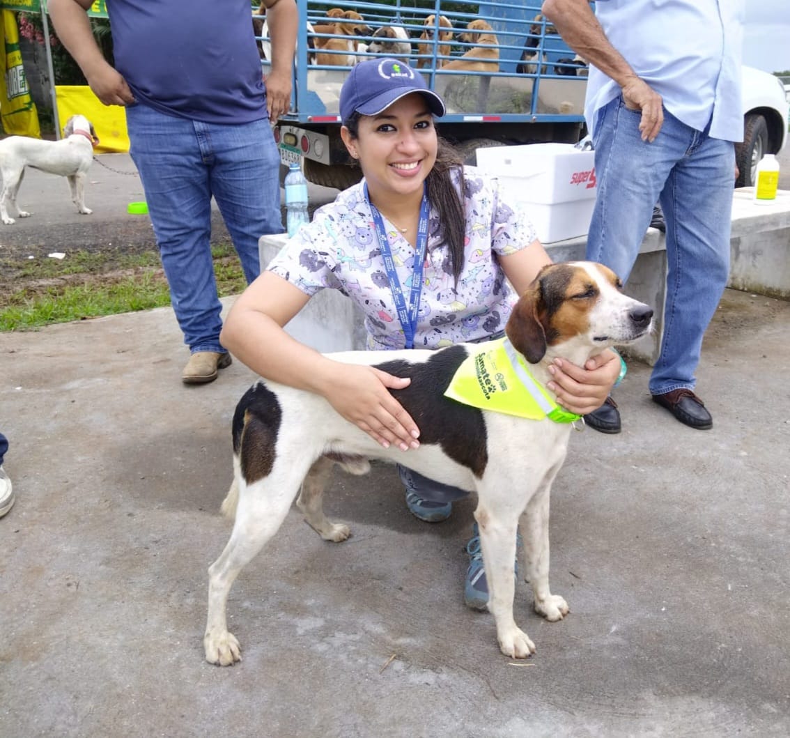 MINSAPma's tweet photo. #LosSantos | Realizamos la feria “Amo mi Mascota” en Guararé, en donde ofrecimos vacunación antirrábica, desparasitación, vitaminas, consultas veterinarias, adopción de mascotas, stand informativos y un concurso de disfraces de mascotas. 
#TrabajandoPorPanamá https://t.co/41ZsbtLB9F