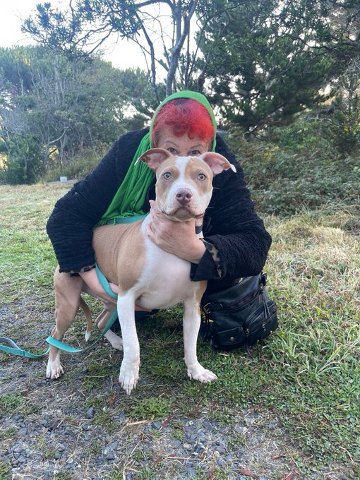 It takes a brothel to find a traumatized rescue dog a foreverhome. My dominatrix friend Minax, my Golden<a href="/tag/feminist"class="tags"><span>#feminist</span></a><a href="/tag/pornstar"class="tags"><span>#pornstar</span></a><a href="/tag/phonesex"class="tags"><span>#phonesex</span></a>