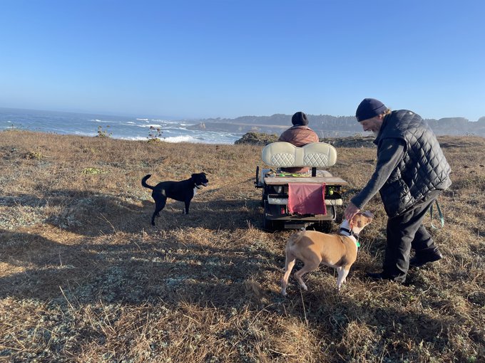 It takes a brothel to find a traumatized rescue dog a foreverhome. My dominatrix friend Minax, my Golden<a href="/tag/feminist"class="tags"><span>#feminist</span></a><a href="/tag/pornstar"class="tags"><span>#pornstar</span></a><a href="/tag/phonesex"class="tags"><span>#phonesex</span></a>