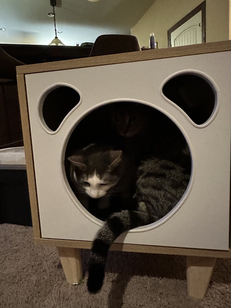 cerealandyogurt's tweet photo. new house who dis https://t.co/j9P1ssjZ7F