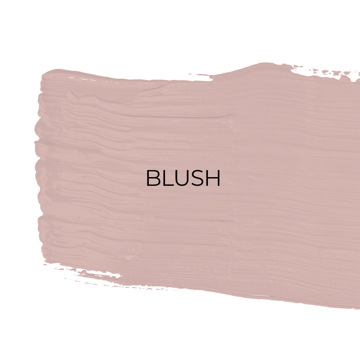 Paint Zero tweet media