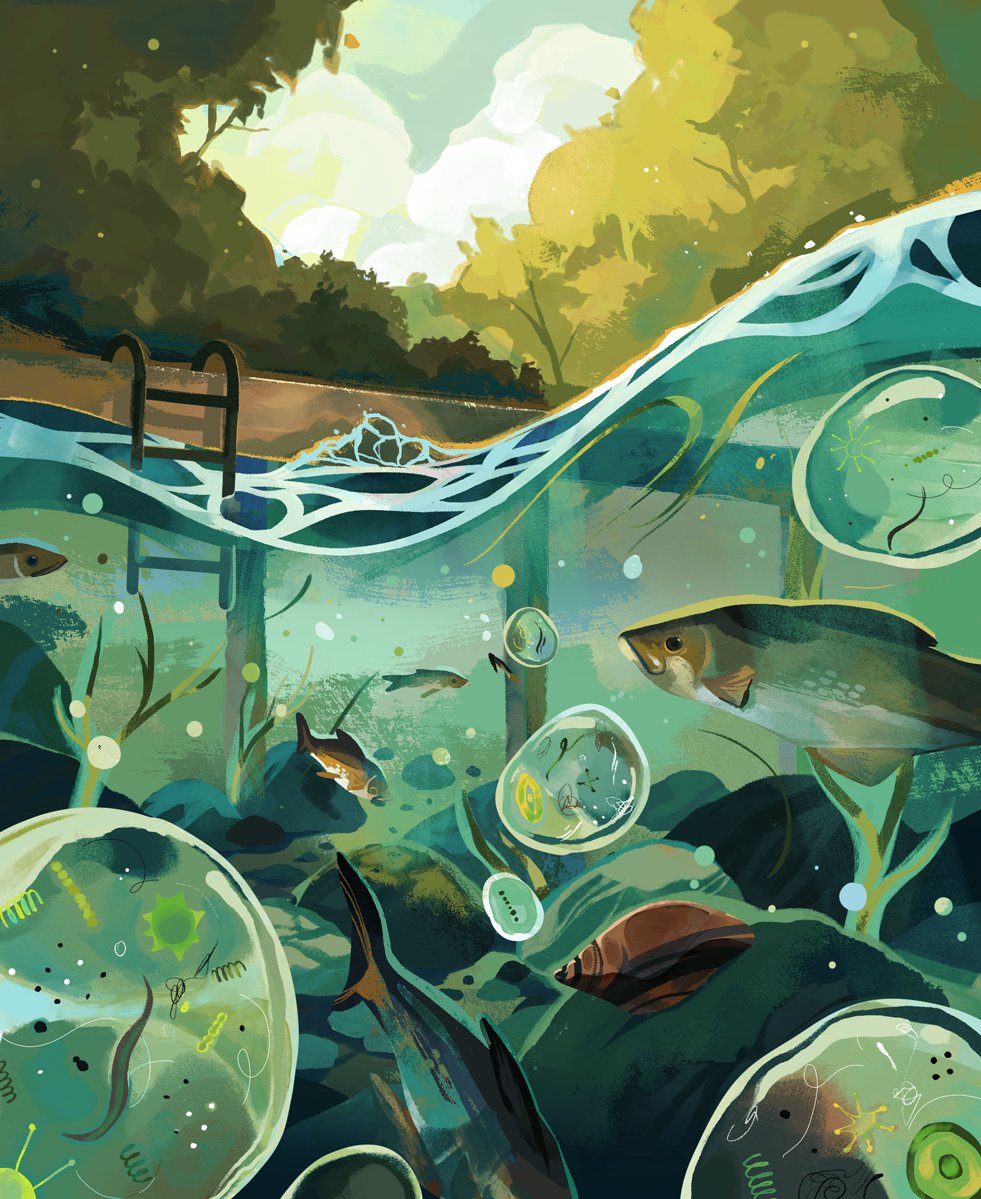 MathiassJB's tweet photo. A piece for @cottagelife on the safety of lake water and its drinkability 🐟 https://t.co/czPAOjewxZ