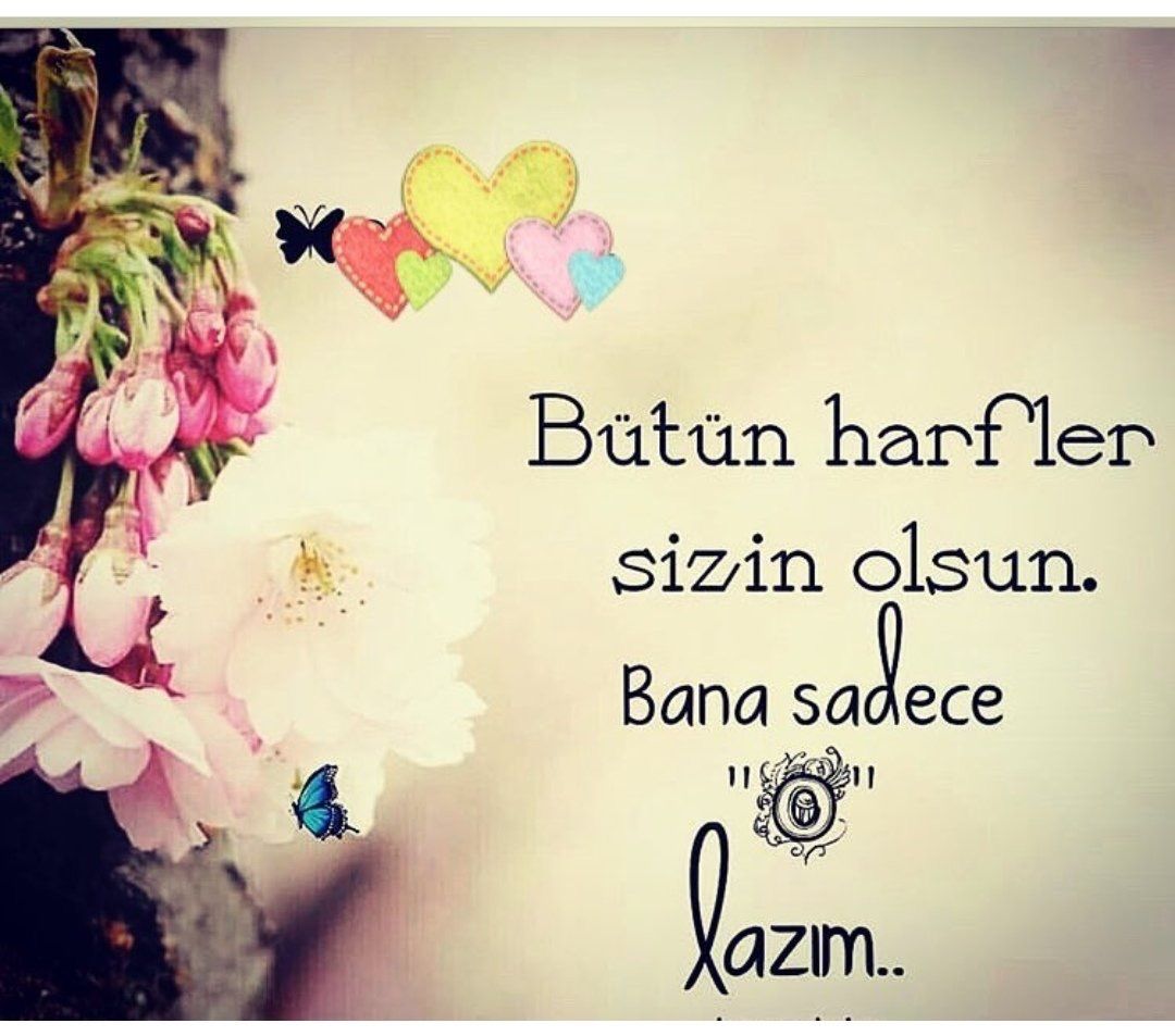 Tuncay (@tuncay87952105) on Twitter photo 