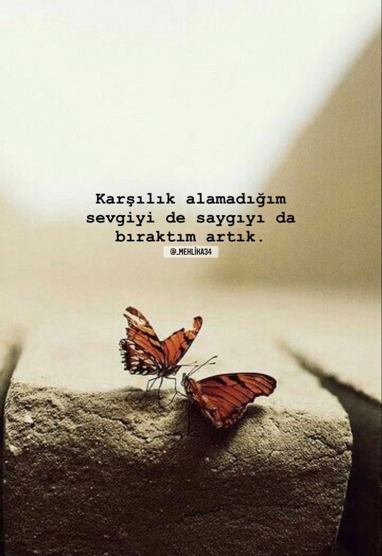 Tuncay (@tuncay87952105) on Twitter photo 