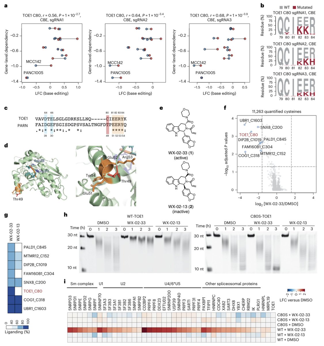 David R. Liu (@davidrliu) on Twitter photo Today we report in <a href="/nchembio/">Nature Chemical Biology</a> a collaboration led by Haoxin Li in Ben Cravatt's lab to illuminate functional and druggable cysteines in the human proteome by integrated base editing and activity-based protein profiling.
nature.com/articles/s4158…
PDF: drive.google.com/file/d/1hky1Ye… Today we report in <a href="/nchembio/">Nature Chemical Biology</a> a collaboration led by Haoxin Li in Ben Cravatt's lab to illuminate functional and druggable cysteines in the human proteome by integrated base editing and activity-based protein profiling.
nature.com/articles/s4158…
PDF: drive.google.com/file/d/1hky1Ye…