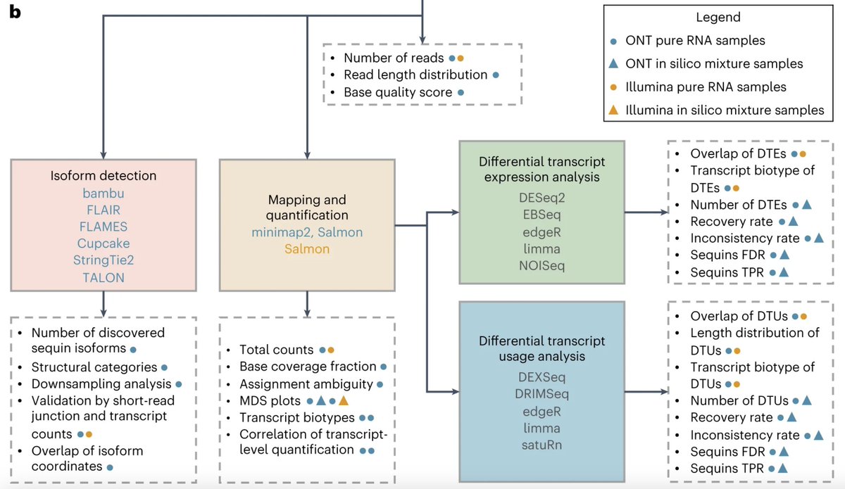 Long-read sequencing tools can capture the full picture of genomes and transcriptomes. An Analysis assesses the performance of long-read RNA sequencing analysis tools including isoform detection and differential expression analysis workflows. 

nature.com/articles/s4159…