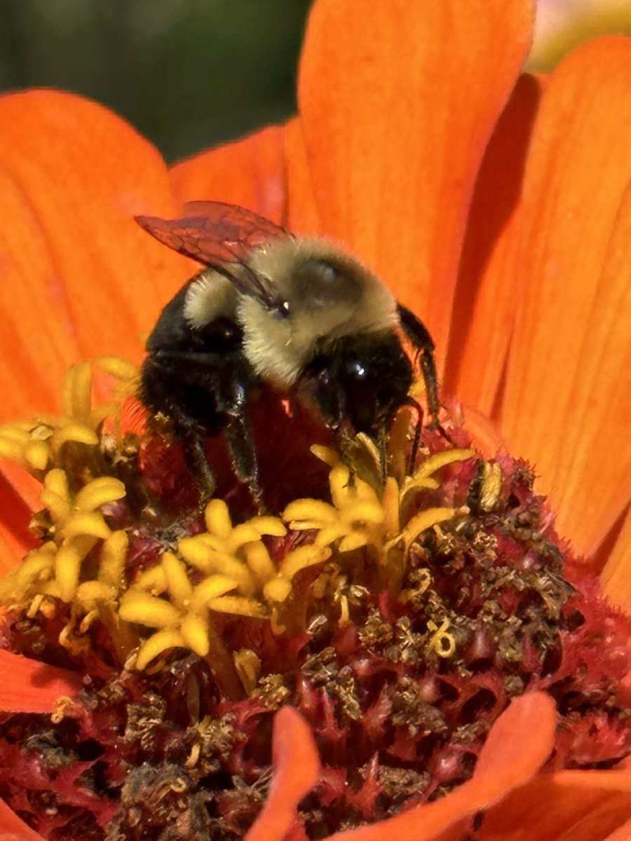 It's Monday. Bee happy.