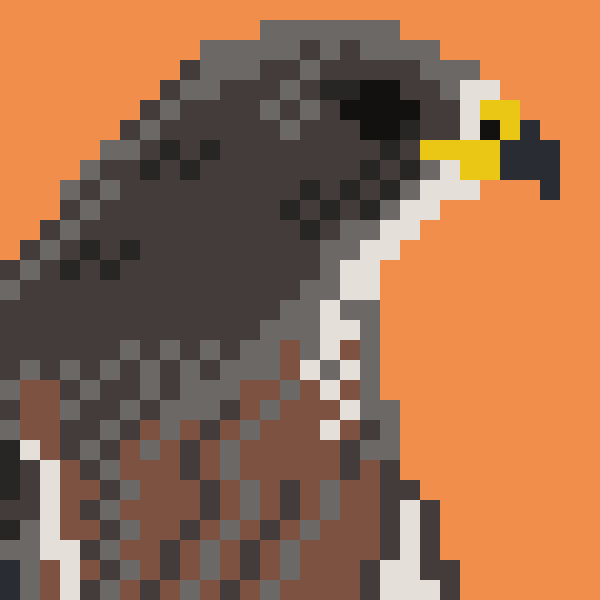 feathertrail's tweet image. A concept demo of Feather Trail is now available to play! This is an action RPG about birdwatching.
synapsid-games.itch.io/feather-trail

Feedback on the form in the demo's description is deeply appreciated and will help me understand priorities🙏

#GodotEngine #indiedev #gamedev #birdingRPG