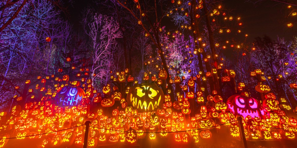 There is so much happening this month in Minnesota! Visit our events calendar to find festive fall events or spooky celebrations. bit.ly/469WBnA #OnlyinMN