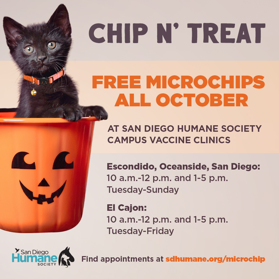 San Diego Humane Society tweet media