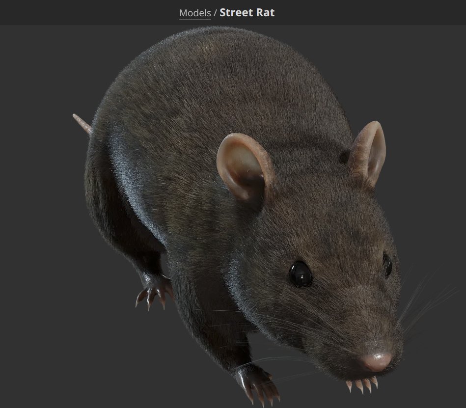 SamNChiet's tweet image. new public domain high poly rat just dropped📣📣📣
get your copy polyhaven.com/a/street_rat