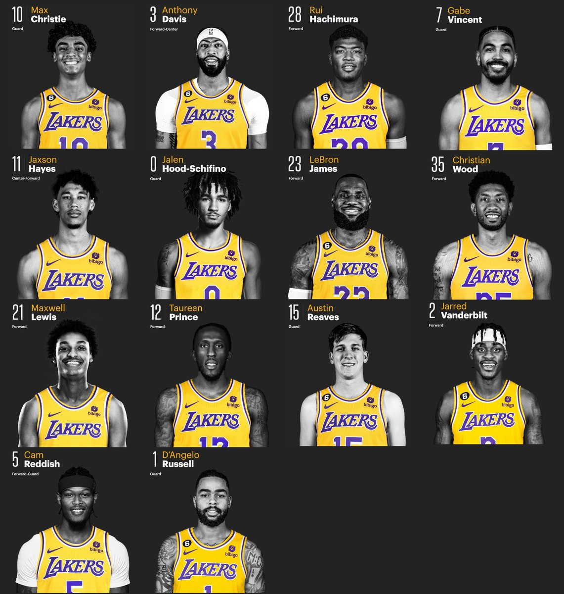 Your 2023-2024 Los Angeles Lakers