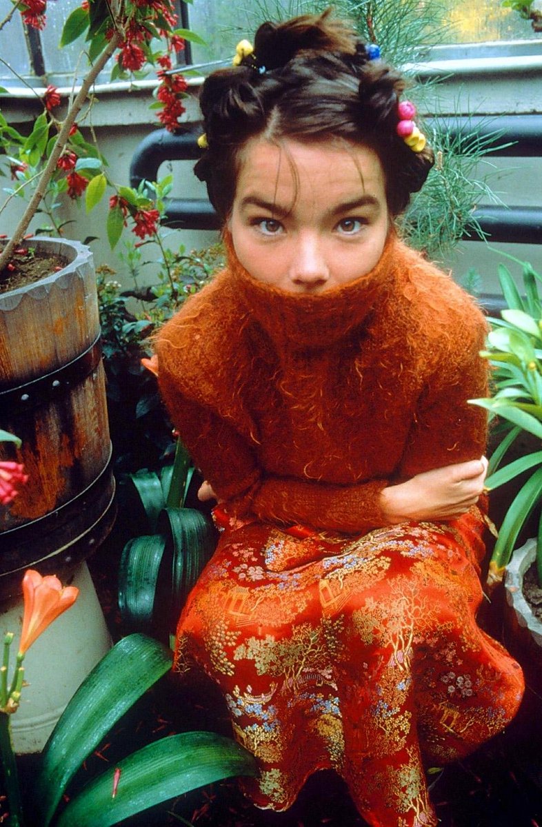 Björk by Stefan Malzkorn
