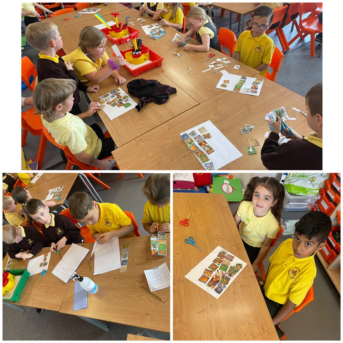 EastfieldPSHull's tweet image. Last week in #2AH we classified living and non-living things, thinking about how we know if something is or has been alive #epsscience