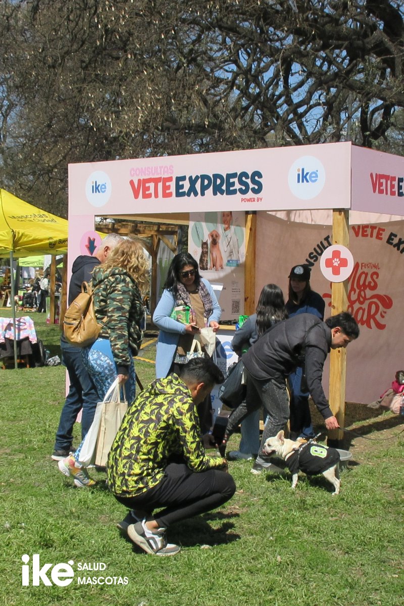 ike_argentina's tweet photo. El fin de semana pasado estuvimos en el festival mascotear con nuestro amigo Iké y nos lo pasamos genial. ¿Quieres saber qué hicimos? Te lo contamos en este hilo 🧵 https://t.co/PA5Bm2255j