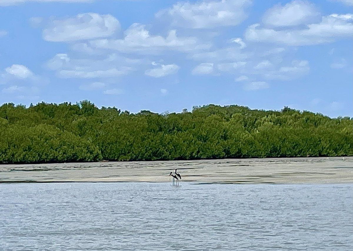 It’s been an absolute privilege to see the traditional lands of the Alngith and Tjungundji people. These places will always hold a special place in my heart.