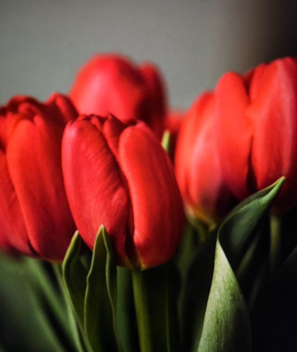 GG - Texas tweet media