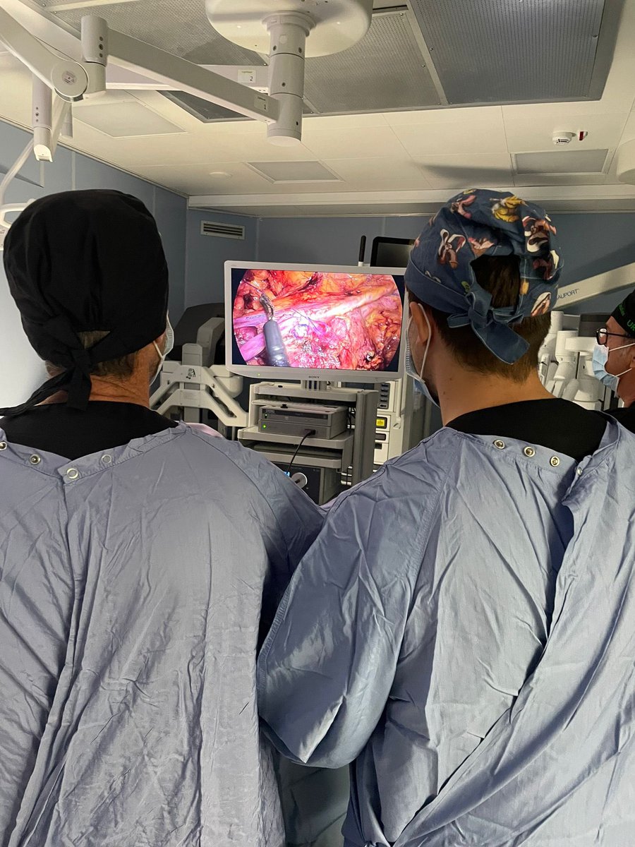 Dibi_Fra's tweet photo. Last week at #NuovaVillaClaudia we performed ✌️ reconstructive surgeries:
1) #LPS #segmentaryureterectomy with end-to-end anastomosis for a lumbar ureteral stenosis

2) LPS #ureteralreimplantation with BPH in a young woman with a iatrogenic stenosis of the pelvic ureter

🔝Team! https://t.co/Cd8wiM82eG