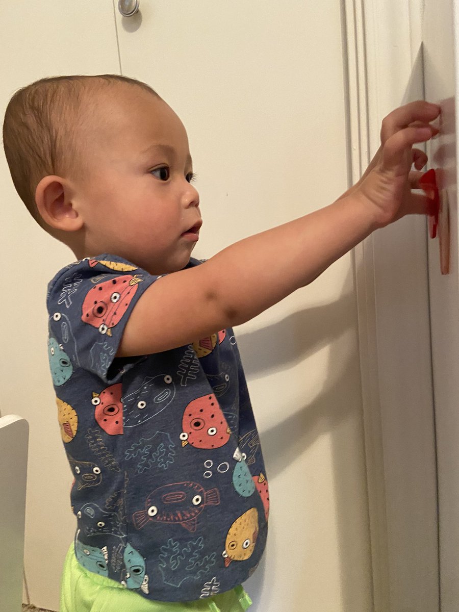 Sarah Song tweet media