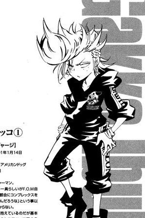 Today's trans character is Ibuki Gakko from Shaman King Flowers!
He is a trans boy!